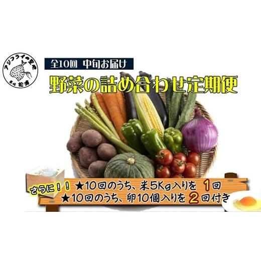 ふるさと納税 セット・詰合せ 長崎県 松浦市 米5kgと卵20個付き 野菜の詰め合わせ定期便10回(中旬) 定期便 ( 米 ご飯 ごはん お米 白米 卵 たまご タマゴ 野菜…の画像