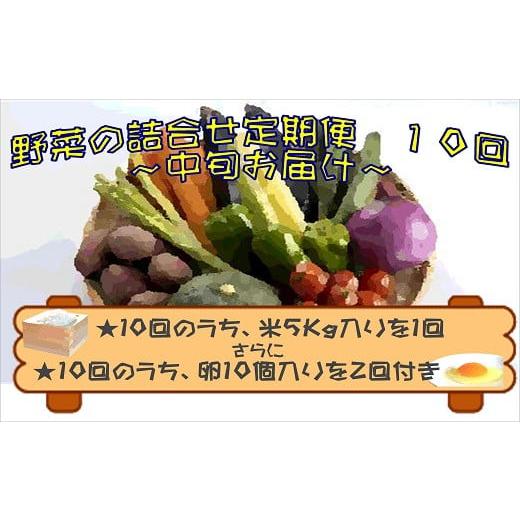ふるさと納税 セット・詰合せ 長崎県 松浦市 米5kgと卵20個付き 野菜の詰め合わせ定期便10回(中旬) 定期便 ( 米 ご飯 ごはん お米 白米 卵 たまご タマゴ 野菜…の画像