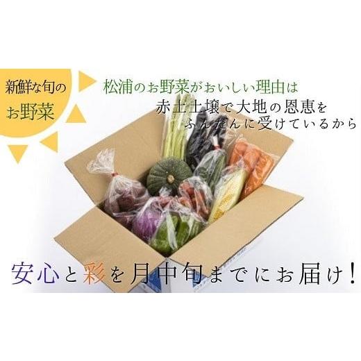 ふるさと納税 セット・詰合せ 長崎県 松浦市 米5kgと卵20個付き 野菜の詰め合わせ定期便10回(中旬) 定期便 ( 米 ご飯 ごはん お米 白米 卵 たまご タマゴ 野菜…の画像