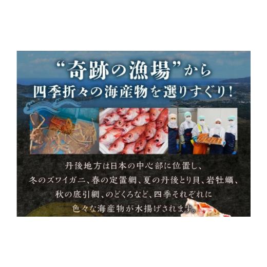 ふるさと納税 魚貝類 のどぐろ 京都府 京丹後市  のどぐろ 干物 熟成 大サイズ 海鮮の匠 魚政 のどぐろ熟成一汐（ノドグロ、のど黒、アカムツ）400g級使用 仕…の画像