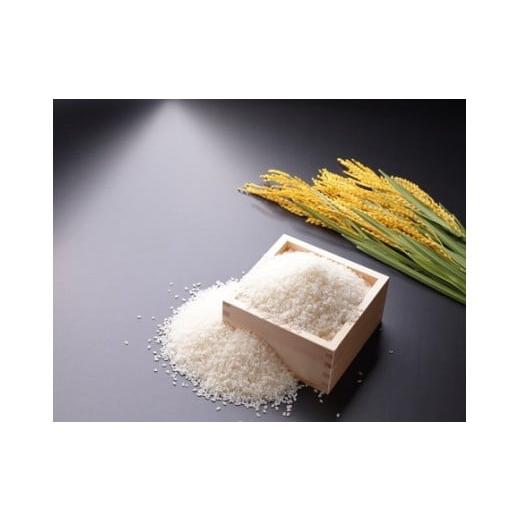 9861』〈伊藤蘭嵎〉双幅 書 紀伊和歌山藩儒者 江戸時代 掛軸