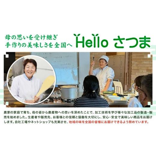 ふるさと納税 たれ・ドレッシング・酢 鹿児島県 さつま町 めんつゆ ストレート 5L 500ml×10本 Helloさつま《30日以内に出荷予定(土日祝除く)》鹿児島県 さつ…_2