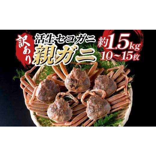 ふるさと納税 カニ 松葉ガニ 鳥取県 岩美町 訳あり親がに(生)|鳥取 岩美 日本海 松葉ガニ 松葉がに ズワイガニ せこがに お届けは2026年11月中旬〜 22011-2…