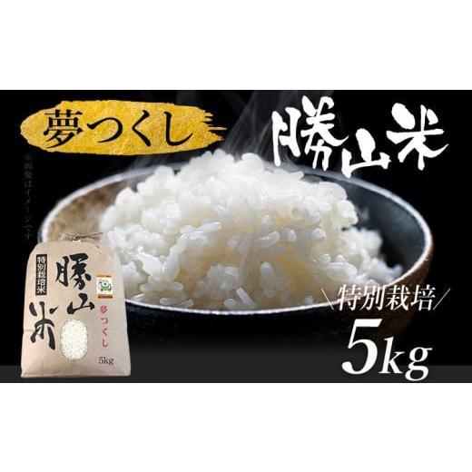 ふるさと納税 米 福岡県 みやこ町 令和7年産 夢つくし 勝山米 特別栽培 勝山米5kg 福岡県産 特別栽培米