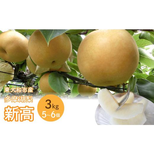 ふるさと納税 梨 東京都 東大和市 先行予約 東大和の恵み 甘みぎっしり『多摩湖梨(新高)』