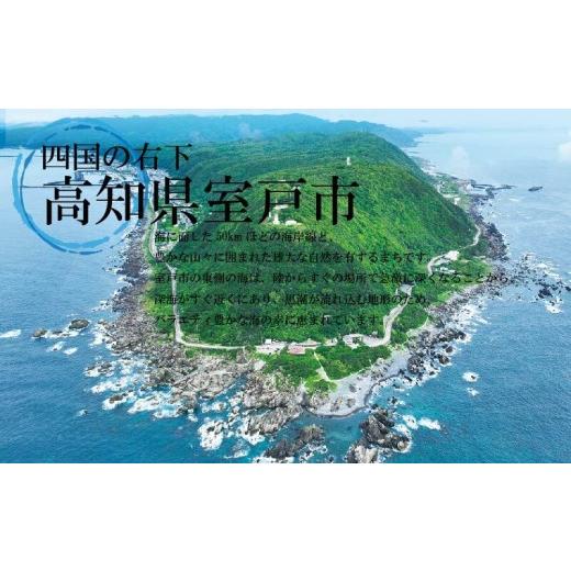 ふるさと納税 塩・だし 海塩 高知県 室戸市 室戸渡津海深層水１００％の国産塩 「天海（あまみ）の塩」５００ｇ×１５袋仕かける