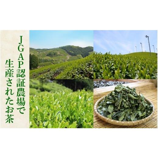 ふるさと納税 お茶類 滋賀県 大津市 近江赤ちゃん番茶ティーバッグ(10g　30個入×9本) J012_5