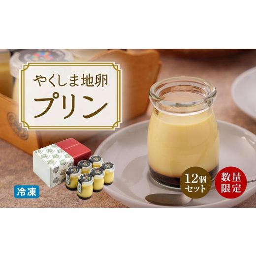 ふるさと納税 菓子 プリン 鹿児島県 屋久島町  数量限定 やくしま地卵冷凍プリン 12個セット_1