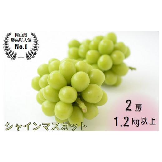 ふるさと納税 ぶどう マスカット 岡山県 勝央町 岡山県産 シャインマスカット 1.2kg以上(2房) 9月中旬から10月中旬発送 _A11