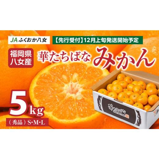 ふるさと納税 福岡県 八女市 [2024年12月発送開始]華たちばなみかん 5kg|JAふくおか八女 蜜柑 ミカン 秀品 福岡 果物 フルーツ 先行予約 家庭用 自宅用