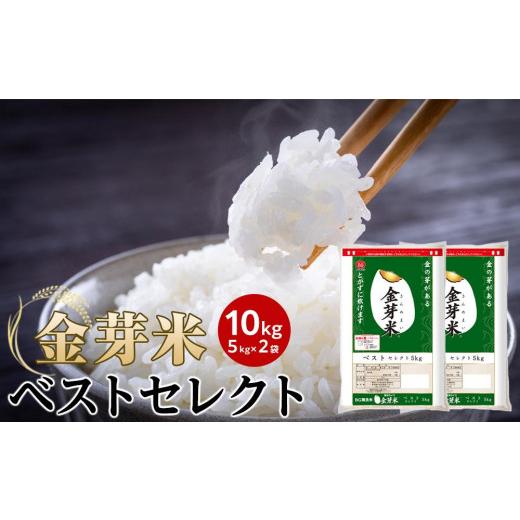 ふるさと納税 和歌山県 和歌山市 金芽米 ベストセレクト 10kg 5kg×2 【 BG無洗米 無洗米 東洋ライス お米 米 コメ 和歌山県 和歌山市 CQ25-NT 】 和歌山県 和歌山市