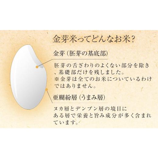 ふるさと納税 和歌山県 和歌山市 金芽米 ベストセレクト 10kg 5kg×2 【 BG無洗米 無洗米 東洋ライス お米 米 コメ 和歌山県 和歌山市 CQ25-NT 】 和歌山県 和歌山市