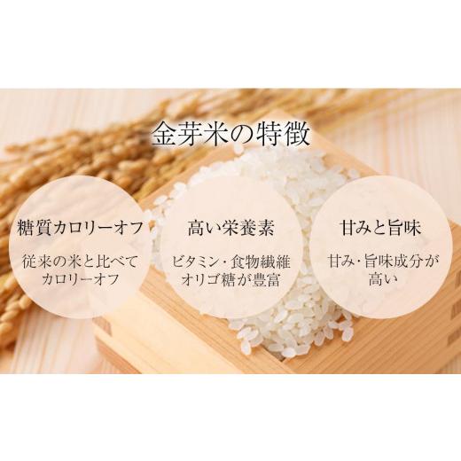 ふるさと納税 和歌山県 和歌山市 金芽米 ベストセレクト 10kg 5kg×2 【 BG無洗米 無洗米 東洋ライス お米 米 コメ 和歌山県 和歌山市 CQ25-NT 】 和歌山県 和歌山市