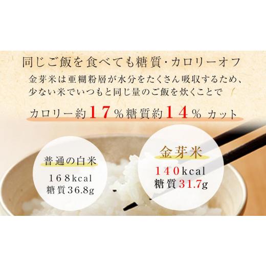 ふるさと納税 和歌山県 和歌山市 金芽米 ベストセレクト 10kg 5kg×2 【 BG無洗米 無洗米 東洋ライス お米 米 コメ 和歌山県 和歌山市 CQ25-NT 】 和歌山県 和歌山市