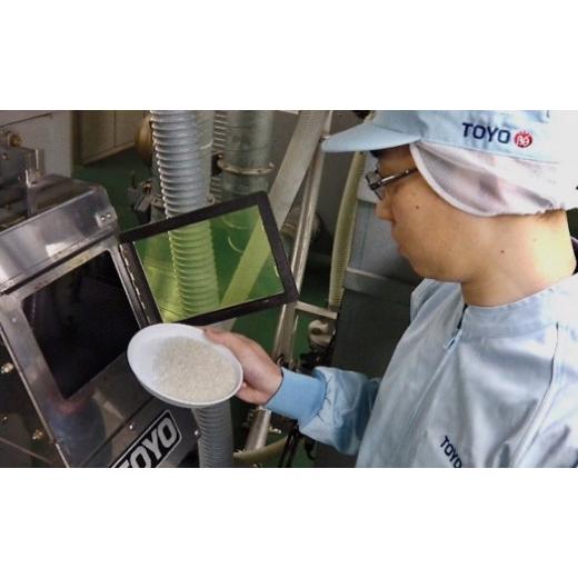 ふるさと納税 和歌山県 和歌山市 金芽米 ベストセレクト 10kg 5kg×2 【 BG無洗米 無洗米 東洋ライス お米 米 コメ 和歌山県 和歌山市 CQ25-NT 】 和歌山県 和歌山市