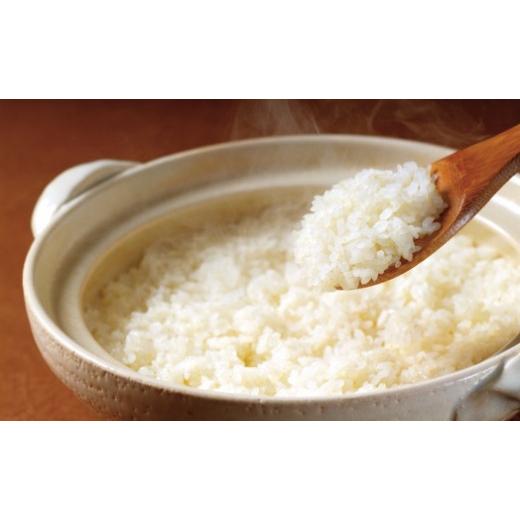 ふるさと納税 和歌山県 和歌山市 金芽米 ベストセレクト 10kg 5kg×2 【 BG無洗米 無洗米 東洋ライス お米 米 コメ 和歌山県 和歌山市 CQ25-NT 】 和歌山県 和歌山市