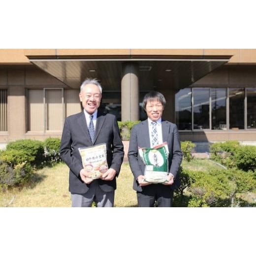 ふるさと納税 和歌山県 和歌山市 金芽米 ベストセレクト 10kg 5kg×2 【 BG無洗米 無洗米 東洋ライス お米 米 コメ 和歌山県 和歌山市 CQ25-NT 】 和歌山県 和歌山市