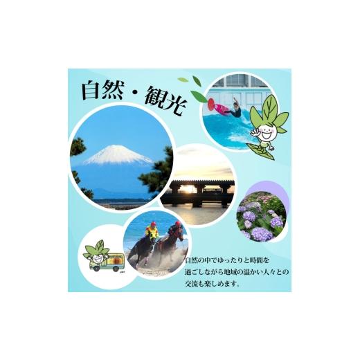 ふるさと納税 コーヒー コーヒー豆 静岡県 牧之原市  珈琲豆 自家焙煎珈琲MUSUBI COFFEE ブルーマウンテンNo.１＆ トラジャ・カロシ 豆 自家焙煎 厳選豆 最高…の画像