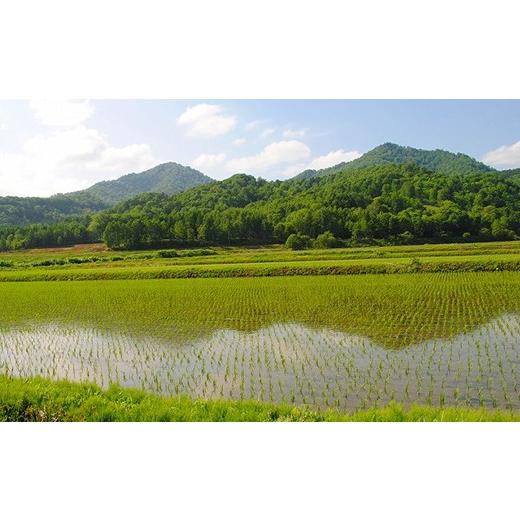 ふるさと納税 北海道 愛別町 【A56216】愛別町産米（ゆめぴりか2kg＆もち米1kg）｜furusatochoice｜04