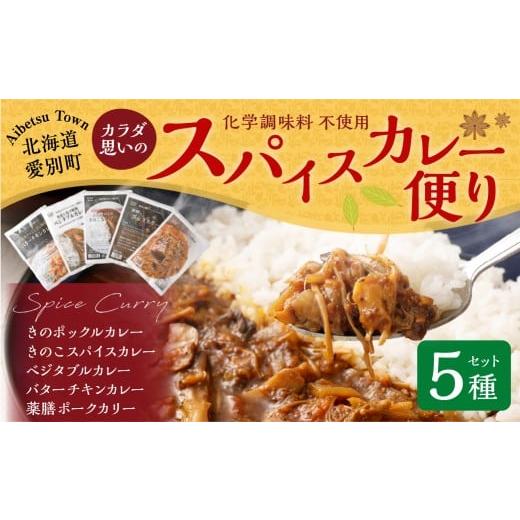 ふるさと納税 加工品等 レトルト 北海道 愛別町 カラダ思いのスパイスカレー便り 5種セット 手作りカレー レトルトカレー スパイスカレー カレー 冷蔵