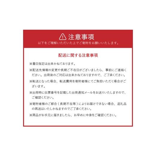 ふるさと納税 金工品 岩手県 奥州市  ご注文頂いてから８カ月以内発送予定 南部鉄瓶 奥州市6年連続1位 南部鉄器 鉄瓶 姥口アラレ 1.2L 及春鋳造所 作 IH調理器…の画像