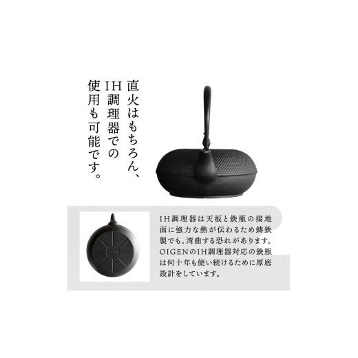 ふるさと納税 金工品 岩手県 奥州市 南部鉄器 鉄瓶 東雲アラレ 1.0L OIGEN 作 IH調理器 伝統工芸品 白湯がオススメ やかん ケトル キッチン用品 食器 日用品 …_4
