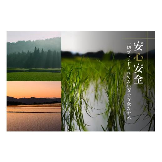 ふるさと納税 新潟県 津南町 最高級魚沼産コシヒカリ「雪椿」5kg(1kg×5袋)　特別栽培米 