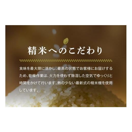 ふるさと納税 新潟県 津南町 最高級魚沼産コシヒカリ「雪椿」5kg(1kg×5袋)　特別栽培米 