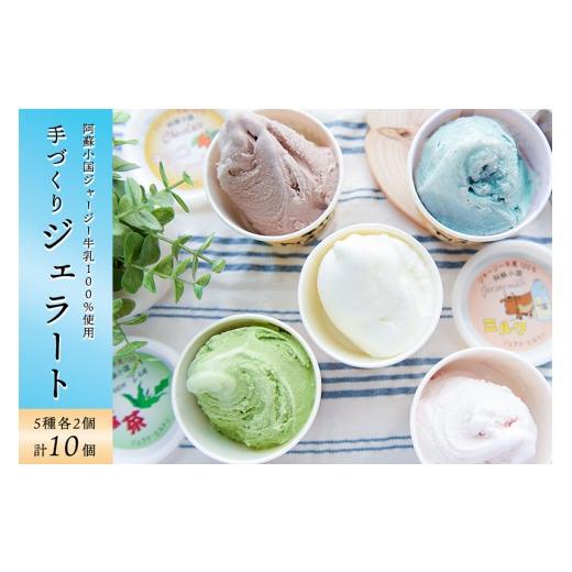 ふるさと納税 アイス・ヨーグルト ジェラート 熊本県 小国町 ヒルトンビック 阿蘇小国 ジャージー牛乳 ジェラート 5種 各2個 計10個 ジャージーミルク100% ミ…