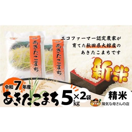 ふるさと納税 米 あきたこまち 秋田県 大館市 期間・数量限定「新米」 令和7年産 あきたこまち精米10kg(5kg×2袋) 170P9002 / 米 10kg 白米 精米 令和7年産 …