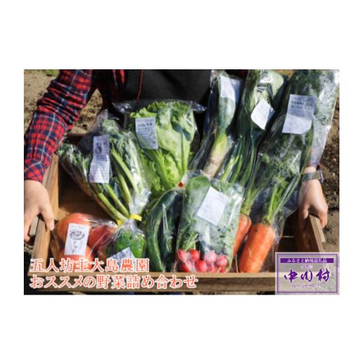 ふるさと納税 長野県 中川村 五人坊主大島農園おススメの野菜詰め合わせ