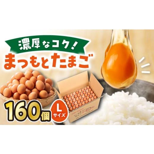 ふるさと納税 長崎県 西海市 まつもとたまご Lサイズ 赤玉 160個 [松本養鶏場]