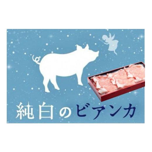 ふるさと納税 新潟県 阿賀野市 純白のビアンカ 豚ロースしゃぶしゃぶ用 500g 豚肉 透き通るような 白い脂身 歯切れの良い 肉質 香り高い 上品な甘み 1D01007