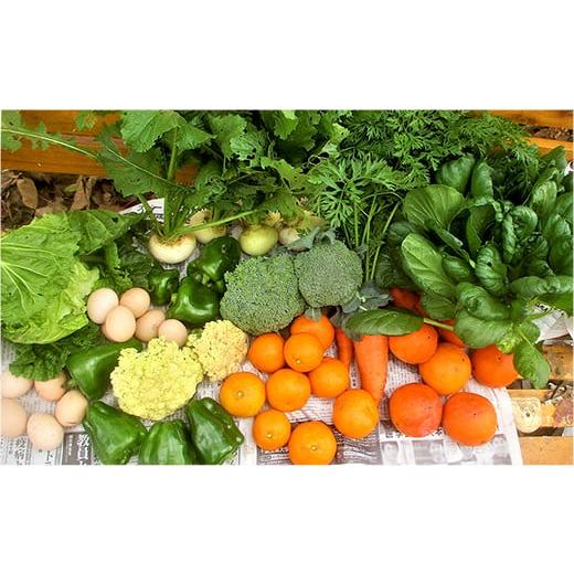 ふるさと納税 セット・詰合せ 千葉県 八街市 定期便12か月 中村自然農園 の 季節の 野菜 詰め合わせ 野菜セット 八街市 千葉 新鮮野菜の詰め合わせ 新鮮野菜…