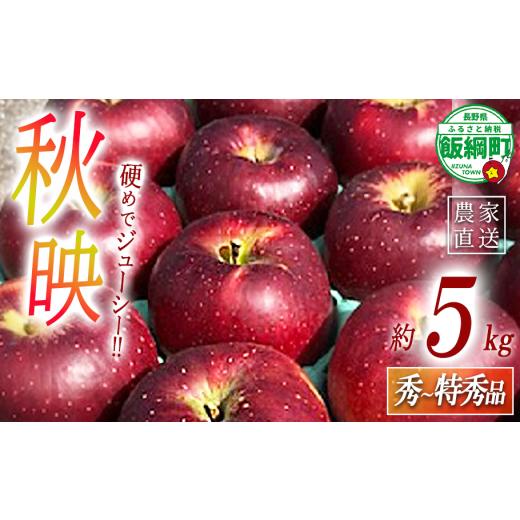 ふるさと納税 りんご 長野県 飯綱町 りんご 秋映 秀 〜 特秀 5kg 丸西農園 沖縄県への配送不可 2026年10月上旬頃から2026年10月中旬頃まで順次発送予定 令和8…