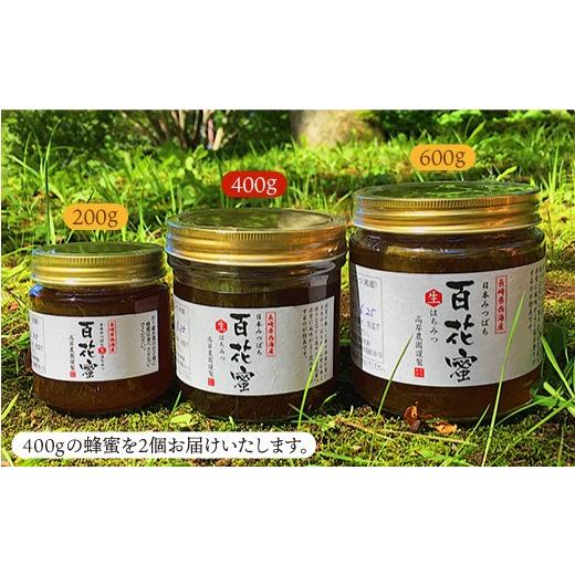 ふるさと納税 加工品等 はちみつ 長崎県 西海市  数量限定 《今年は希少》 天然蜂蜜 「百花蜜」 計800g（400g×2個）ハチミツ 高岸農園 CCH002 ハチミツ 国産…の画像