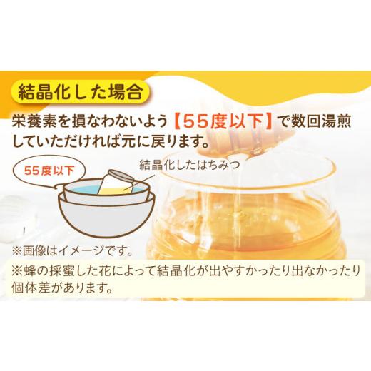 ふるさと納税 加工品等 はちみつ 長崎県 西海市  数量限定 《今年は希少》 天然蜂蜜 「百花蜜」 計800g（400g×2個）ハチミツ 高岸農園 CCH002 ハチミツ 国産…の画像
