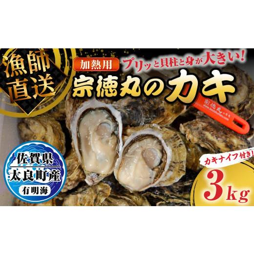 ふるさと納税 牡蠣 生牡蠣 佐賀県 太良町 宗徳丸のカキ 3kg 牡蠣 かき カキ 有明海 殻付きカキ 加熱用牡蠣 生牡蠣 剥き身 宗徳丸 ブランド 生食 生食用 新鮮 …