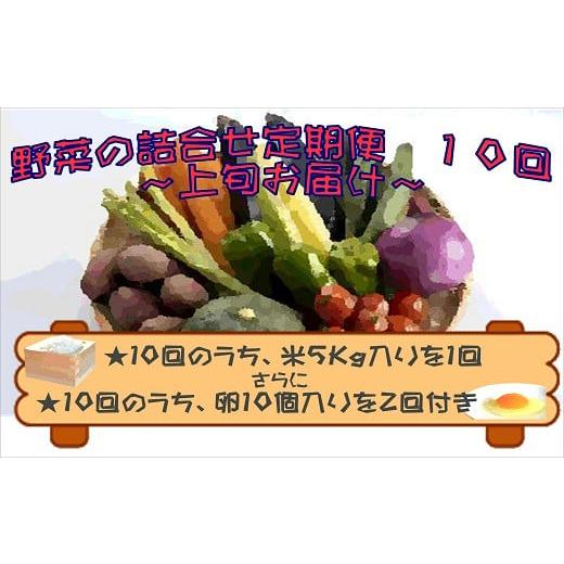 ふるさと納税 セット・詰合せ 長崎県 松浦市 米5kgと卵20個付き 野菜の詰め合わせ定期便10回(上旬) 定期便 ( 米 ご飯 ごはん お米 白米 卵 たまご タマゴ 野菜…の画像
