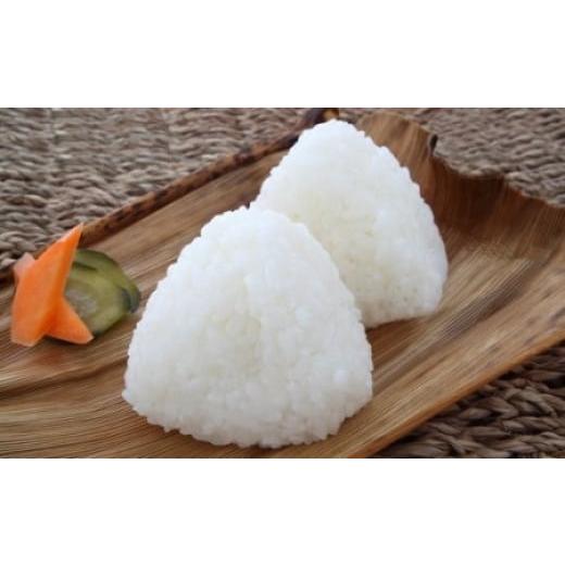 ふるさと納税 セット・詰合せ 長崎県 松浦市 米5kgと卵20個付き 野菜の詰め合わせ定期便10回(上旬) 定期便 ( 米 ご飯 ごはん お米 白米 卵 たまご タマゴ 野菜…の画像