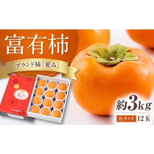 ふるさと納税 地域のお礼の品 愛媛県 内子町 富有柿 2L玉サイズ 約3kg(12玉入り)/フルーツ 果物 くだもの 食品 人気 内子町 おすすめ 送料無料 かき 旬 甘…
