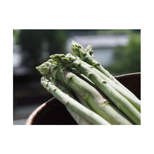 ふるさと納税 野菜類 アスパラガス 奈良県 下市町 43.下市町産 アスパラガス(約1kg)
