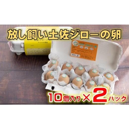 ふるさと納税 卵(鶏、烏骨鶏等) 高知県 黒潮町 放し飼い 土佐ジロー 卵 20個 入り 土佐 地鶏 地鶏卵 天然卵 たまご 玉子 特産品 濃厚 卵かけご飯 TKG だし巻…