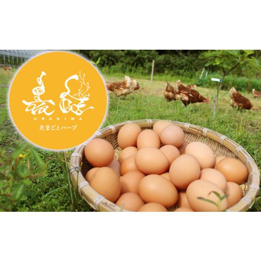 ふるさと納税 卵(鶏、烏骨鶏等) 高知県 宿毛市 定期便 たまご 10個入り×3パック (12ヶ月) 定期便 10個入り×3パック (12ヶ月) 140,000円