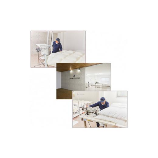 ふるさと納税 タオル・寝具 掛け布団 大阪府 和泉市  ダブルサイズ 肌掛け羽毛布団 ポーランド産マザーグースダウン95% CILプラチナラベル 1502058の画像