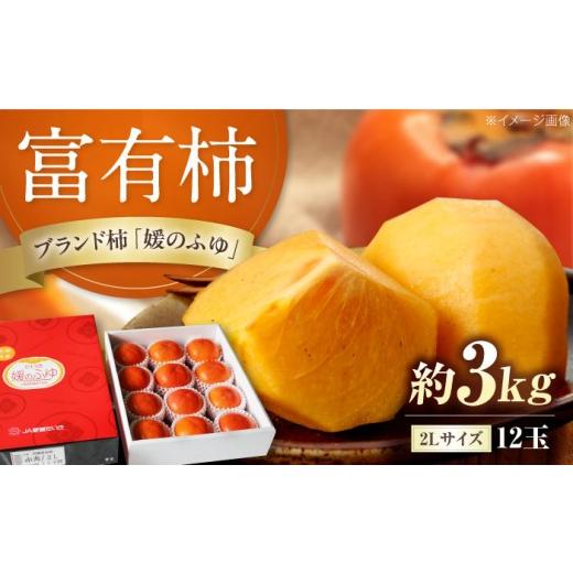 ふるさと納税 果物類 柿 愛媛県 内子町 有袋富有柿 2L玉サイズ 約3kg(12玉入り)/フルーツ 果物 くだもの 食品 人気 内子町 愛媛たいき農業協同組合 果樹生…