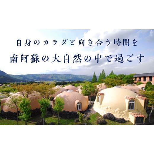 ふるさと納税 熊本県 南阿蘇村 [O119-027002]「大自然阿蘇健康の森」ヘルスケア1泊2日プランペア利用券