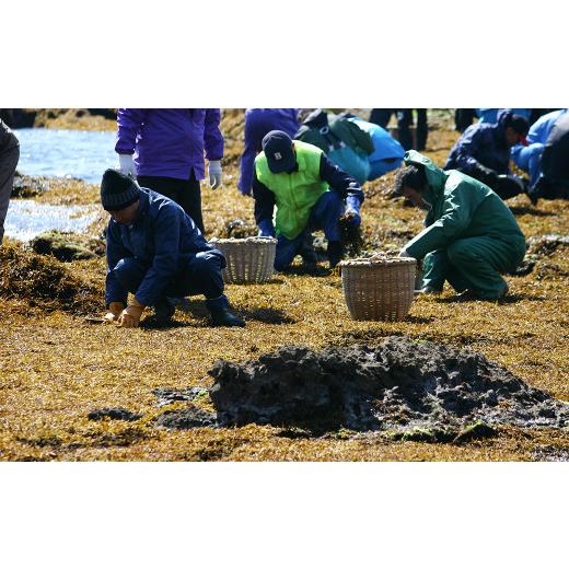ふるさと納税 乾物 海藻 千葉県 鴨川市  さいぶのひじき 房州ひじき 徳用 420g ×１袋　レシピ集付き 　 0026-0010_4
