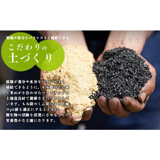 nao.様専用ヒノヒカリ 霧島の水で育った宮崎県小林市玄米20kg（袋、箱込