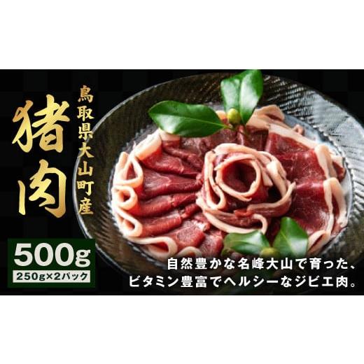 ふるさと納税 鳥取県 大山町 GB-01 猪肉 500g(250g×2パック)